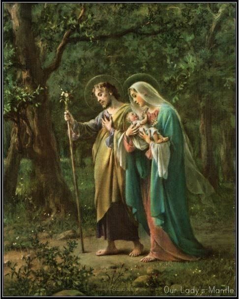 Domingo dentro de la Octava de Navidad