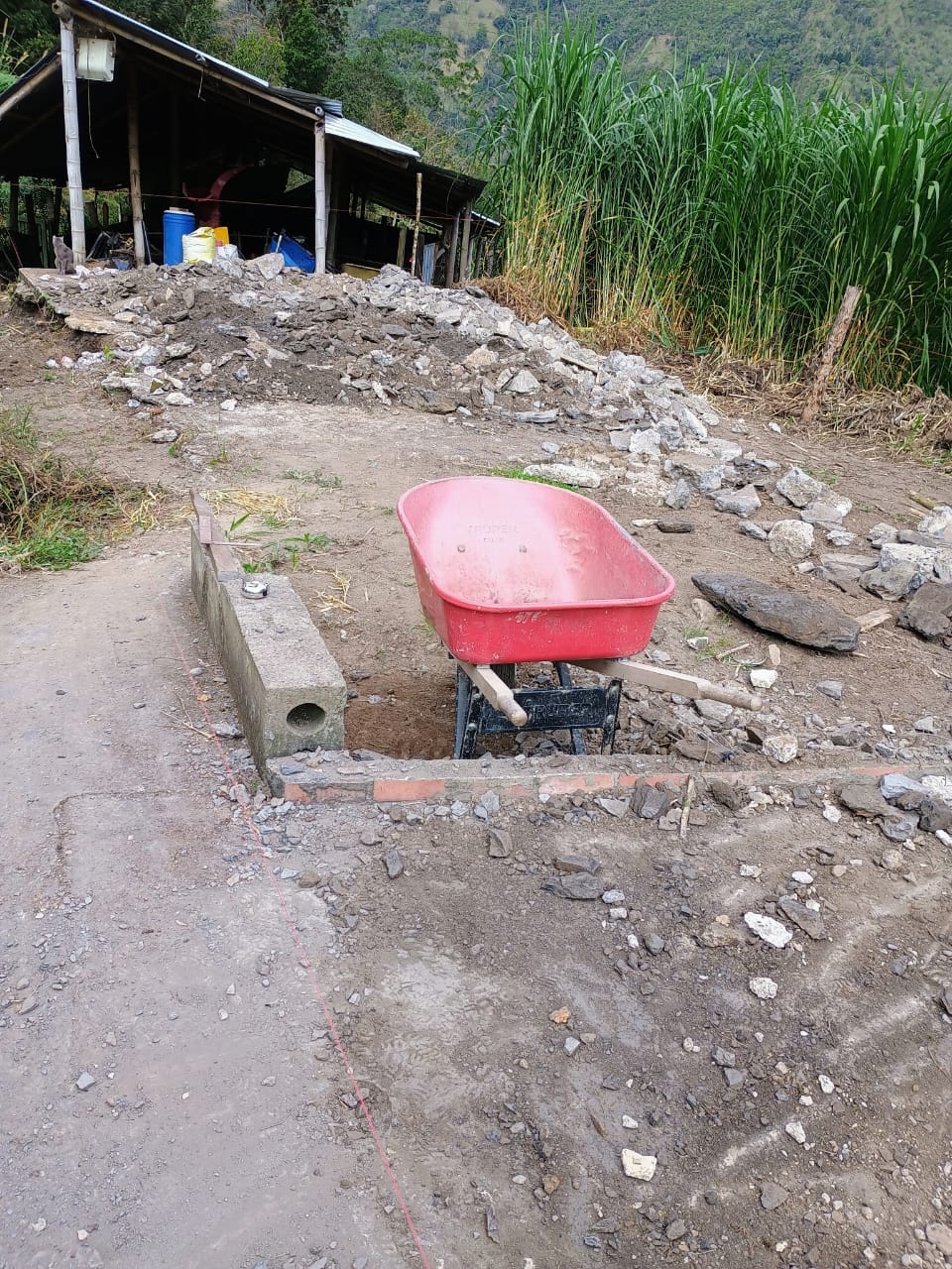 San Apolinar Mártyr